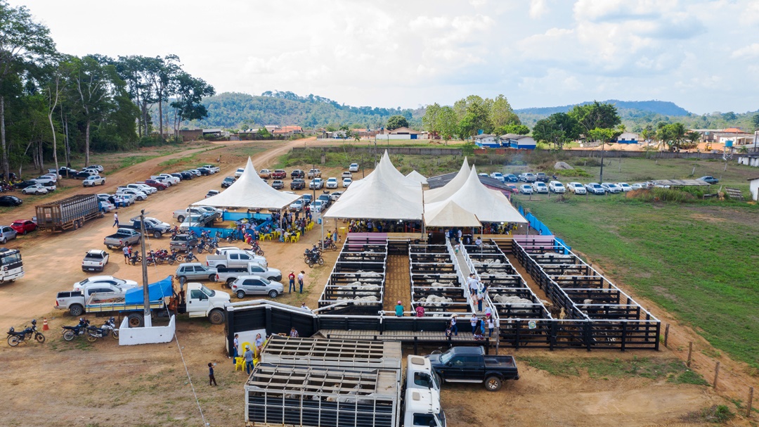 8º Leilão Direito de Viver arrecada mais de R$ 350 mil em Cacaulândia